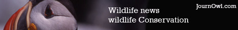 JournOwl: Wildlife news, wildlife Conservation